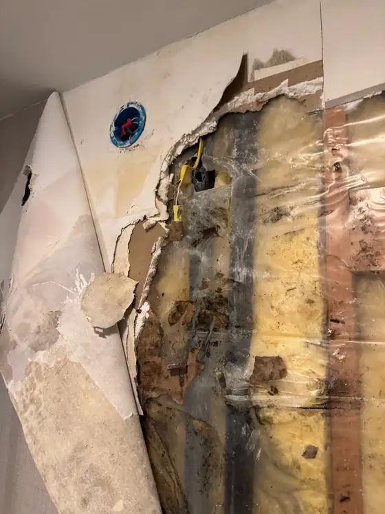 Water damage and rot found behind the bathroom wall
