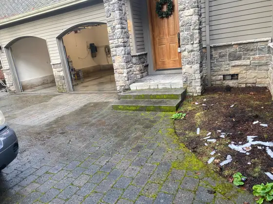 Moss and algae across a paver driveway and entry steps before cleaning