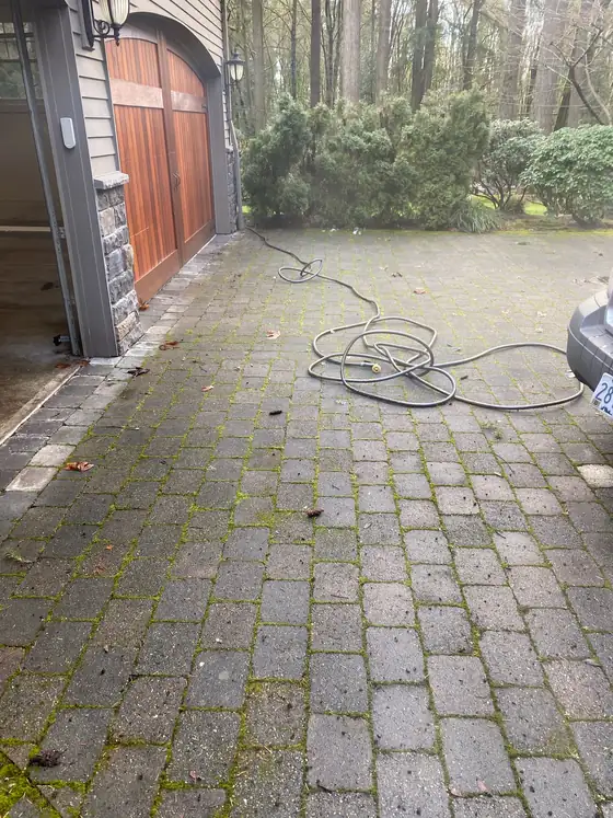 Mossy paver driveway beside the garage before restoration