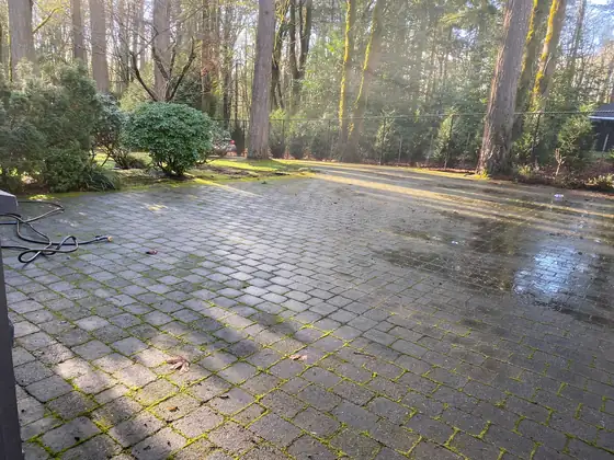 Wide view of the stained paver driveway before pressure washing