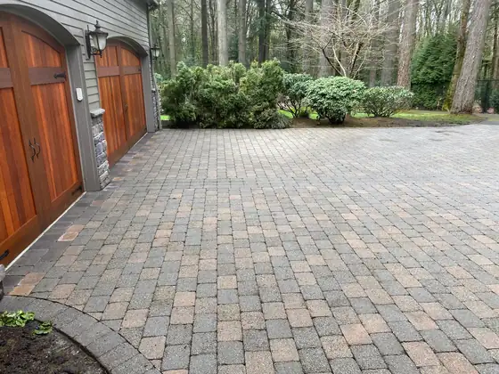 Cleaned pavers running from the garage out towards the trees