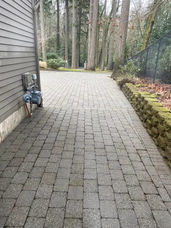 Cleaned paver driveway looking down the length of the drive