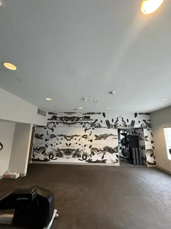 The gym before work started, with the original ceiling