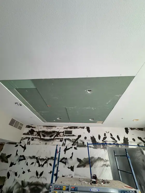 New moisture-resistant board going up on the ceiling