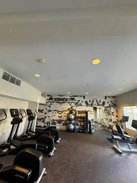 Finished gym ceiling above the cardio equipment