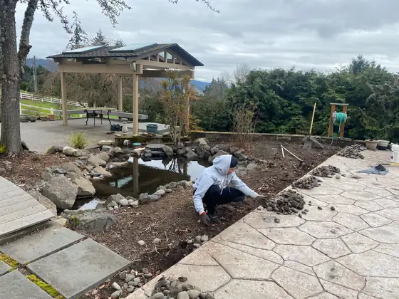 Setting plants along the edge of the new pond during the build